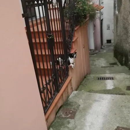 Bed & Breakfast Montemare