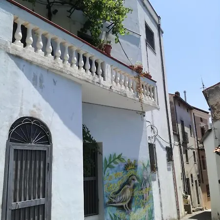 Montemare トルトラ